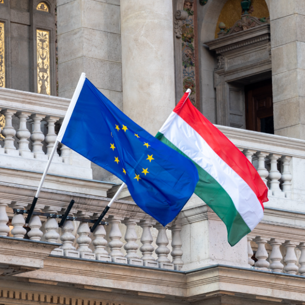 EU Hungary Flag